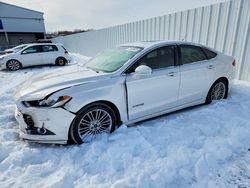Ford Fusion salvage cars for sale: 2014 Ford Fusion se Hybrid