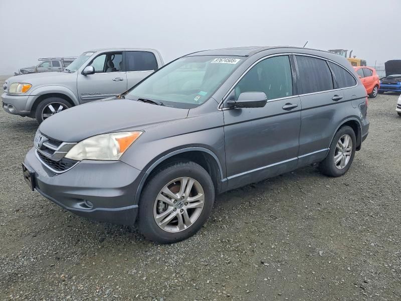 2010 Honda Cr-v exl