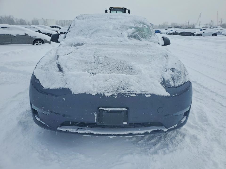 2025 Tesla Model y