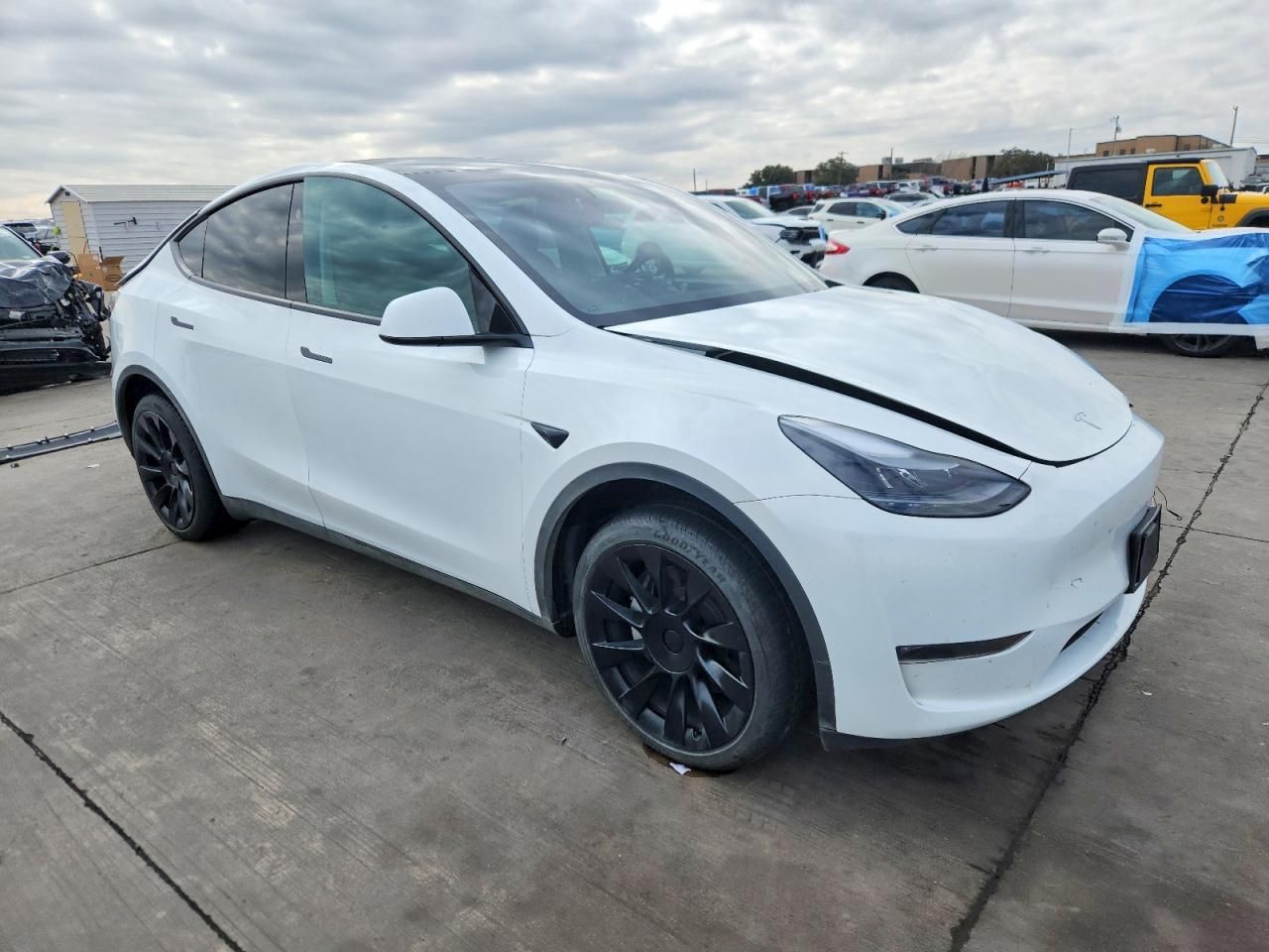2024 Tesla Model y