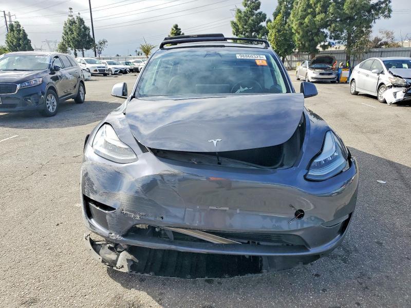 2020 Tesla Model y