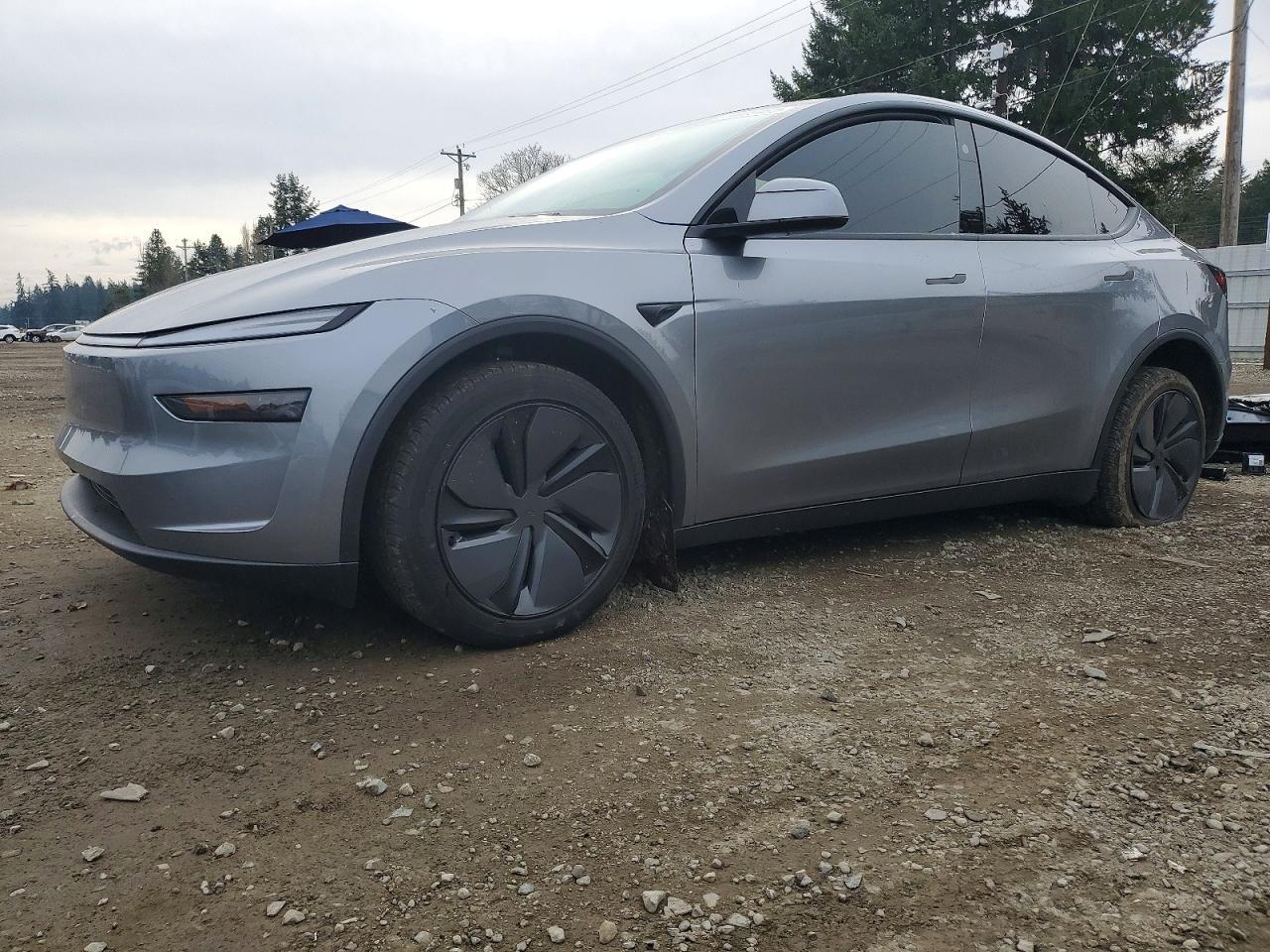 2026 Tesla Model y