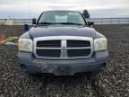 2007 Dodge Dakota st