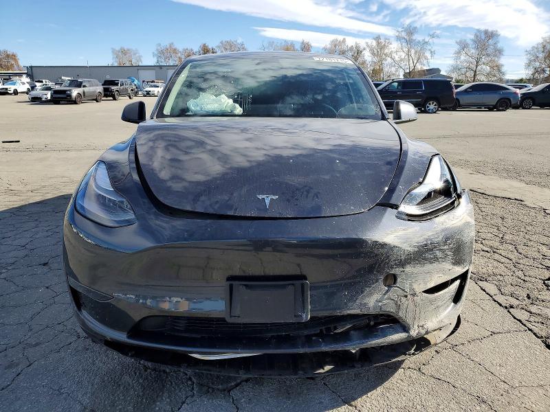 2025 Tesla Model y