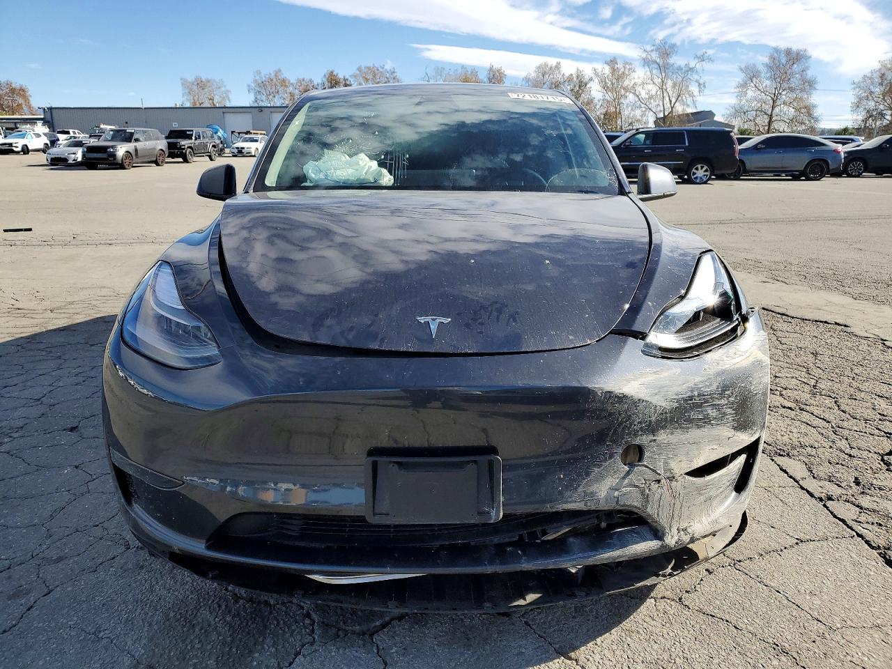 2025 Tesla Model y