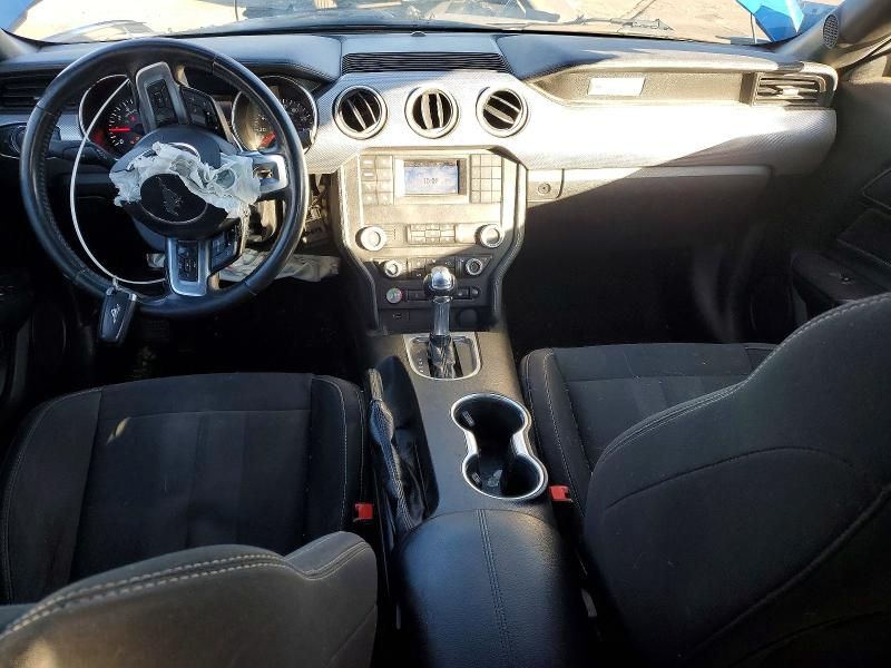 2019 Ford Mustang gt