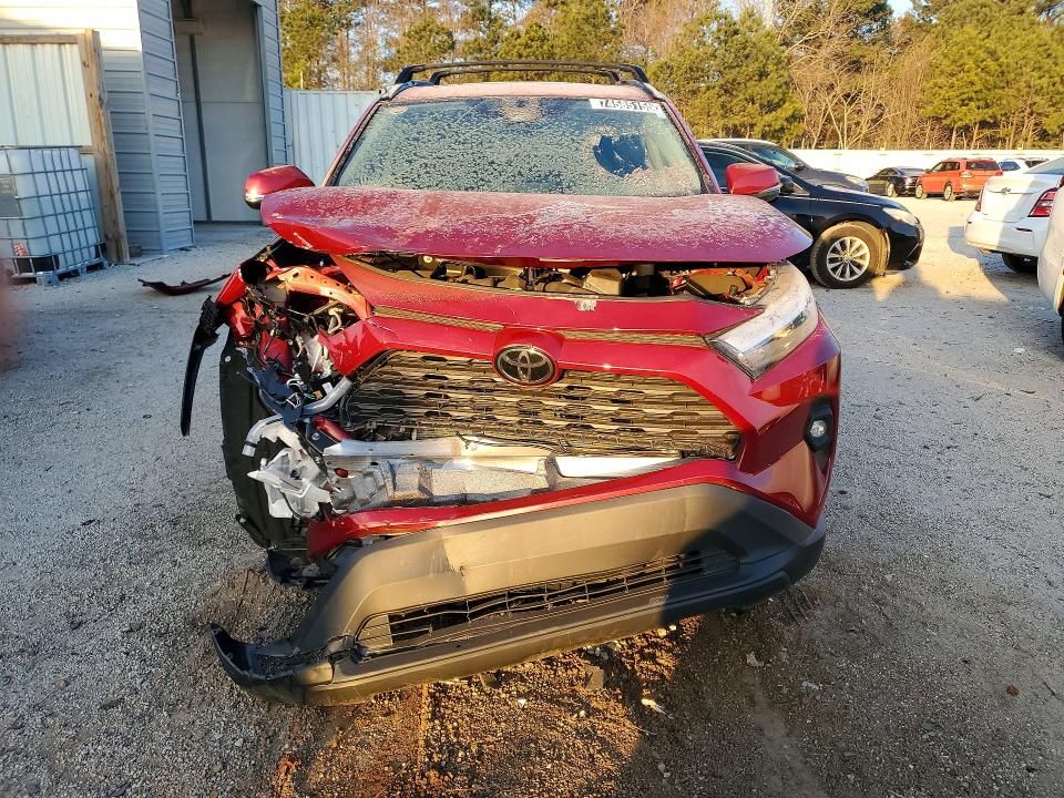 2025 Toyota Rav4 xle Premium