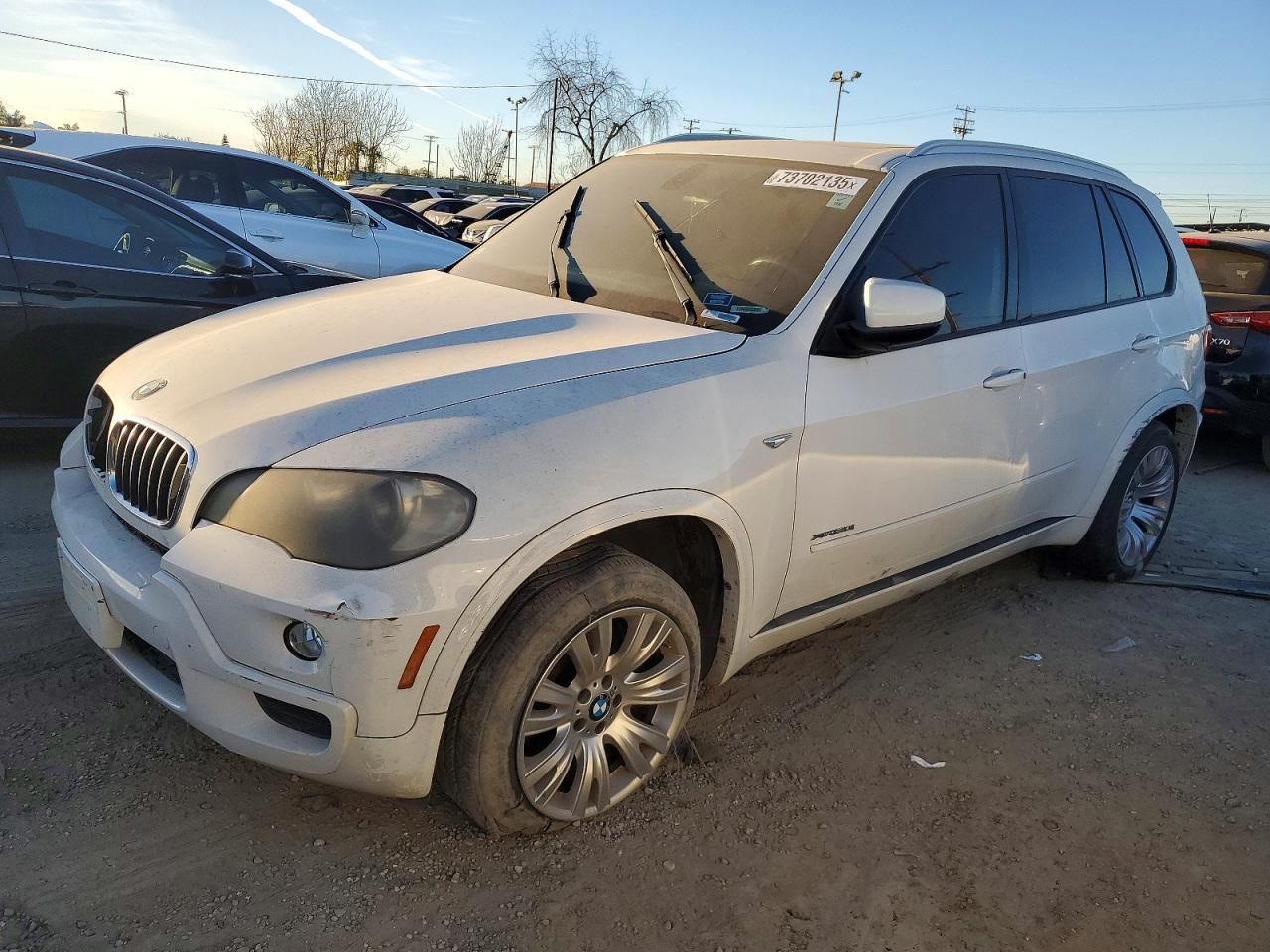 2010 BMW X5 Xdrive30i