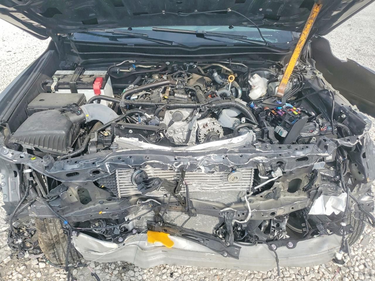 2024 Toyota Tacoma Double cab