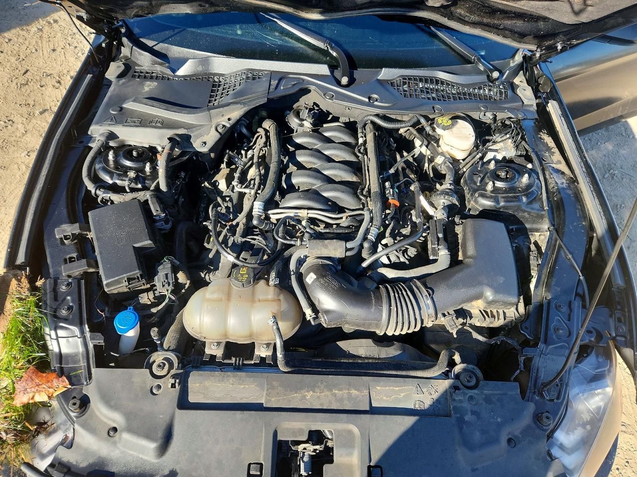 2022 Ford Mustang gt