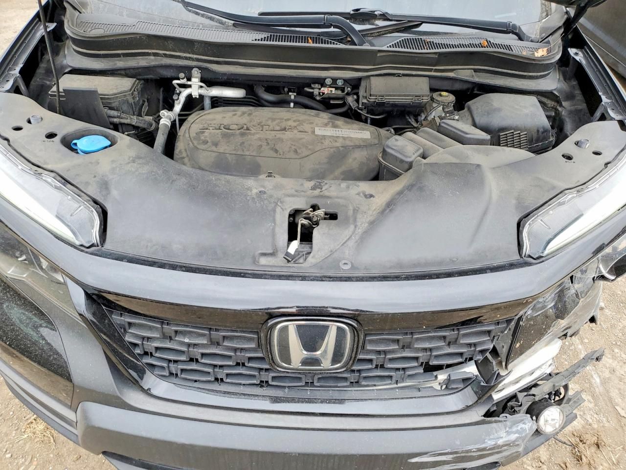 2019 Honda Passport exl