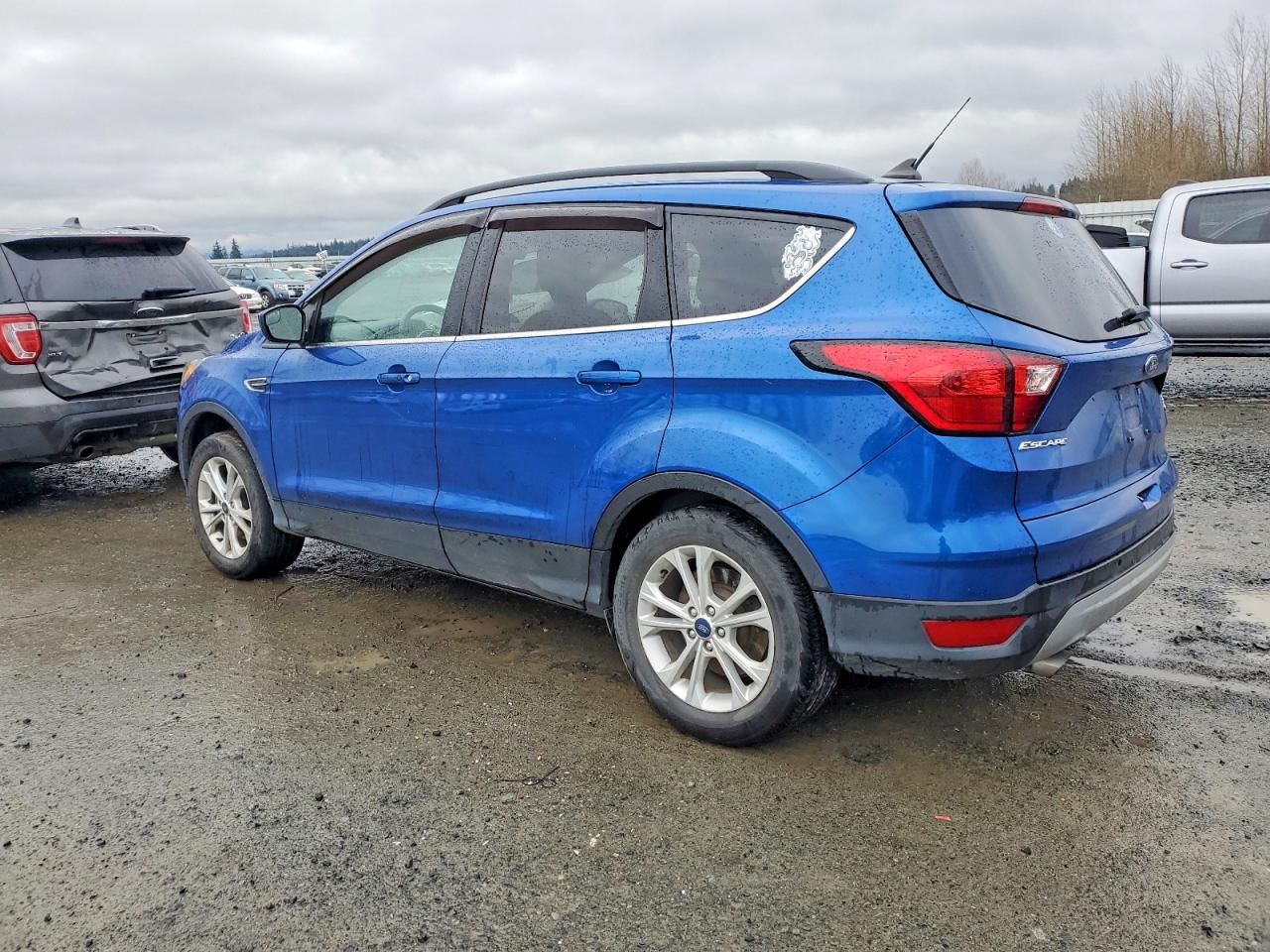 2019 Ford Escape sel