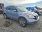 2011 Honda Cr-v exl