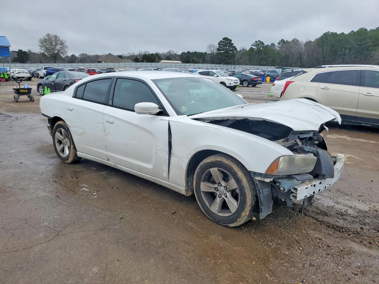 2013 Dodge Charger se
