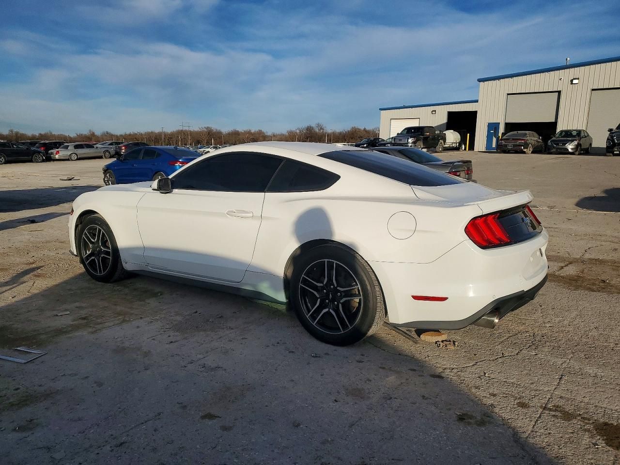 2019 Ford Mustang