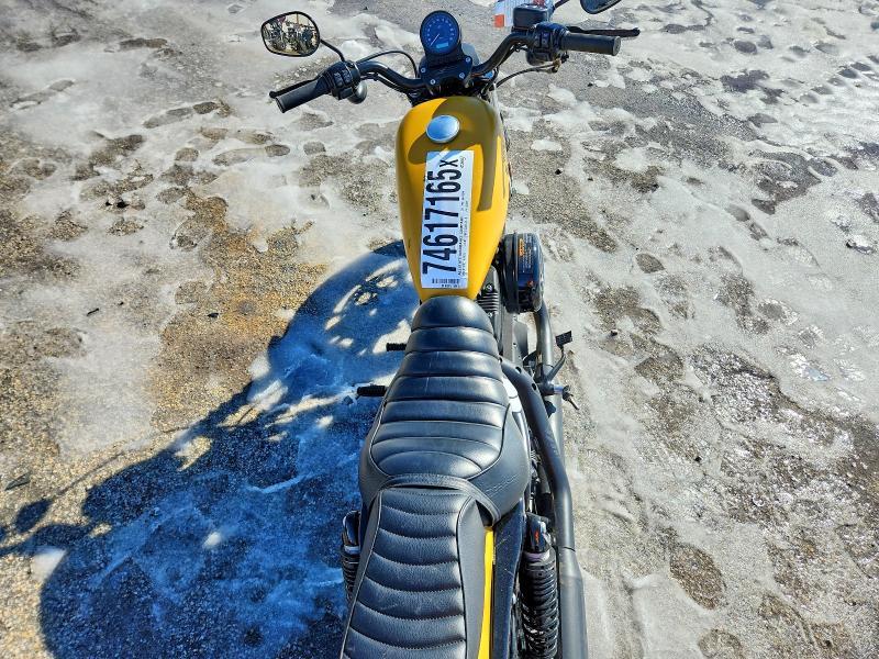 2019 Harley-Davidson XL883 N