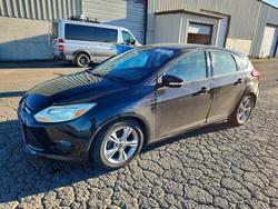 Ford salvage cars for sale: 2014 Ford Focus se