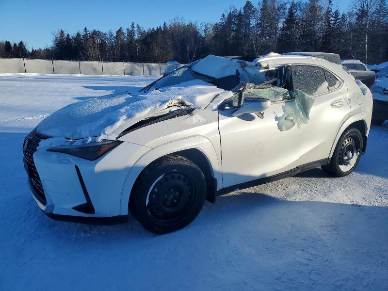 2025 Lexus Ux 300h Base