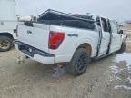 2025 Ford F150 XLT