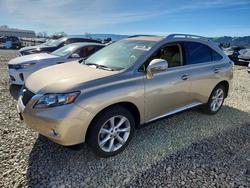 Lexus salvage cars for sale: 2010 Lexus Rx 350