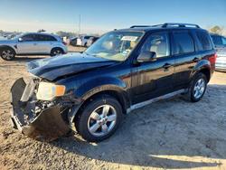Ford Vehiculos salvage en venta: 2010 Ford Escape Limited
