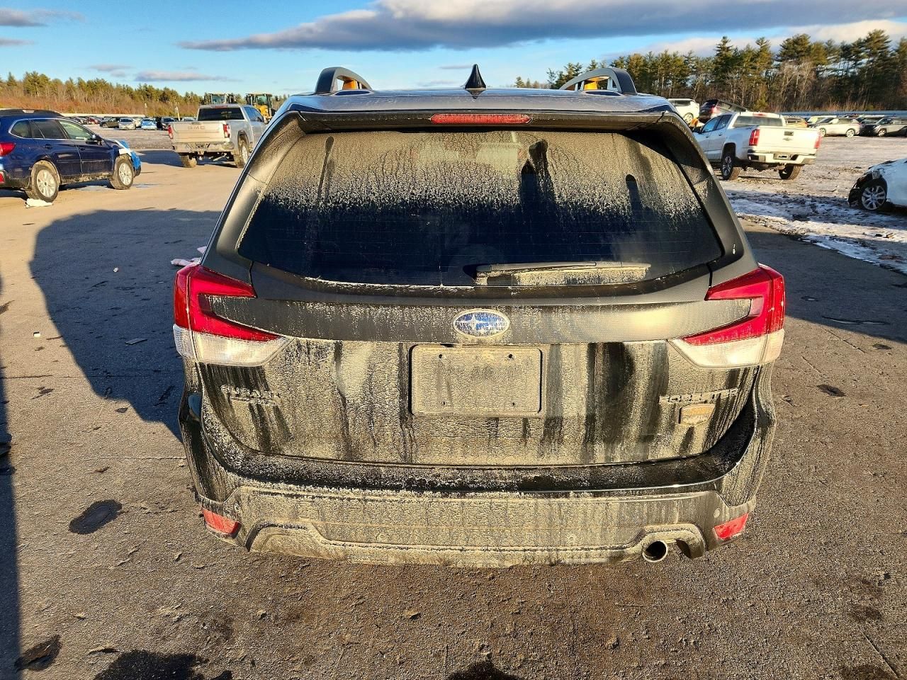 2023 Subaru Forester Wilderness