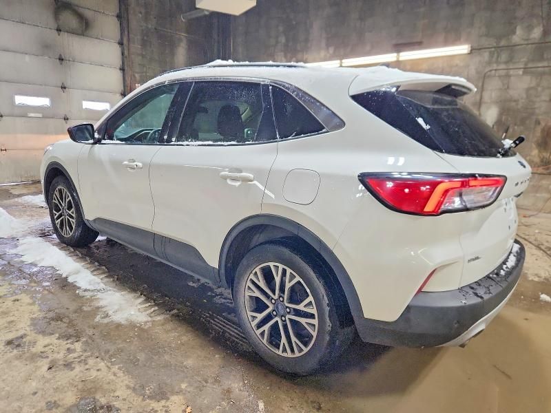 2020 Ford Escape sel