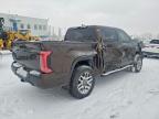 2023 Toyota Tundra Crewmax Platinum