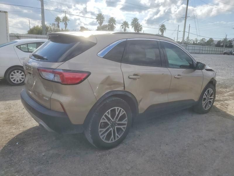 2020 Ford Escape sel