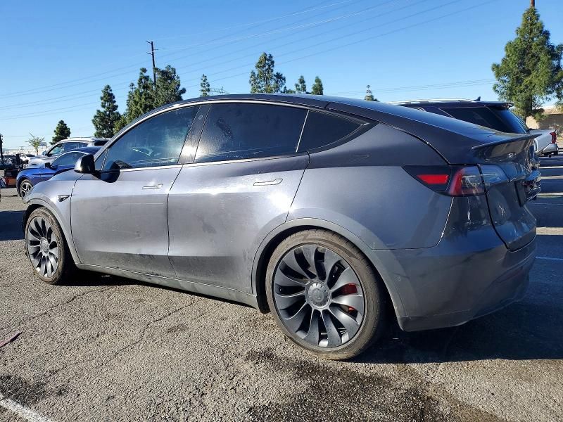 2022 Tesla Model y