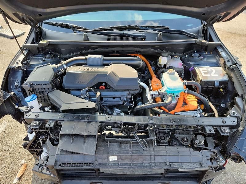 2024 KIA Sportage x Line