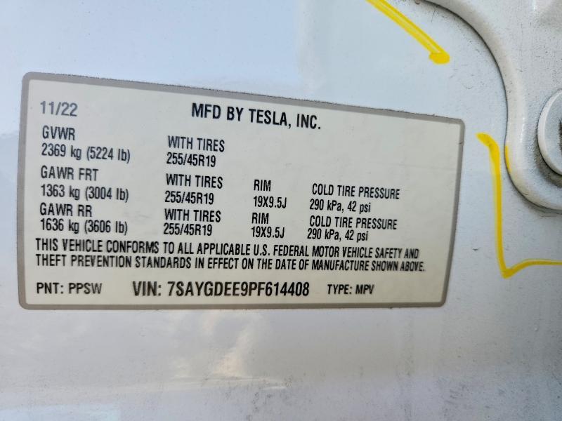 2023 Tesla Model y
