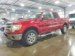 Salvage cars for sale from Copart Ham Lake, MN: 2014 Ford F150 Supercrew