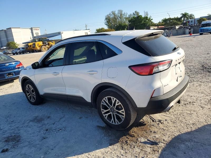 2020 Ford Escape sel