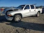 2001 Dodge Dakota Quattro