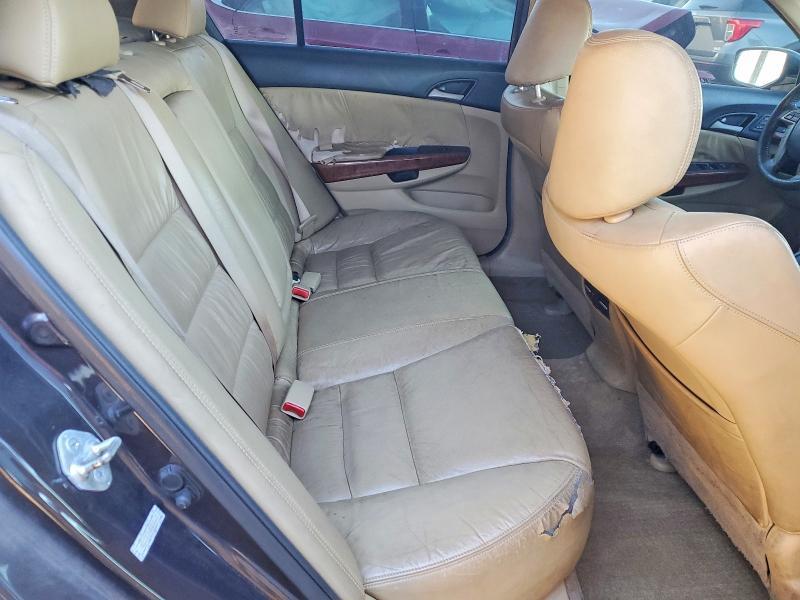 2011 Honda Accord exl