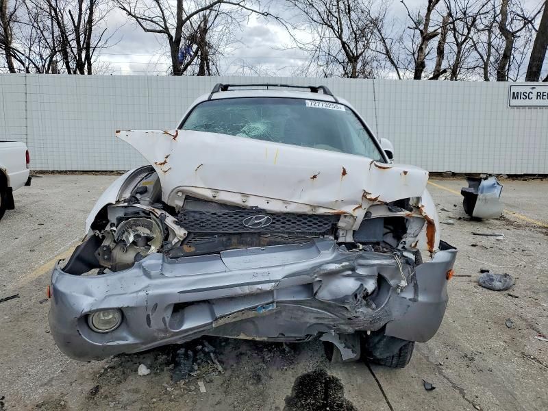 2004 Hyundai Santa fe gls