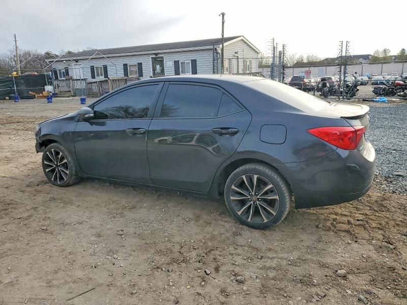 2019 Toyota Corolla l