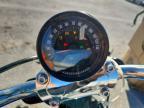 2025 Harley-Davidson Fxlrst