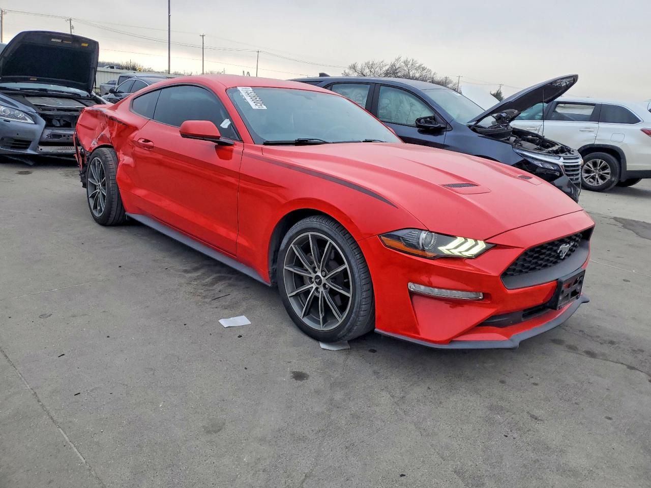 2019 Ford Mustang