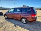 2008 Honda Odyssey exl