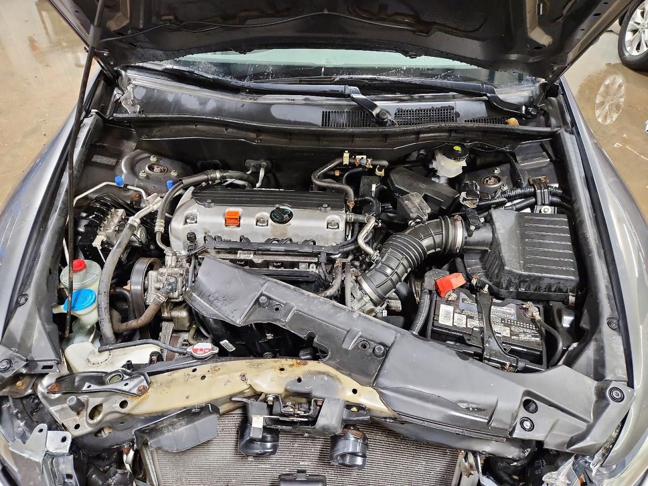 2010 Honda Accord lxp