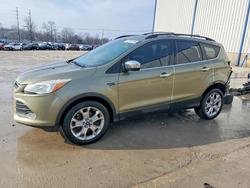 Ford salvage cars for sale: 2013 Ford Escape se