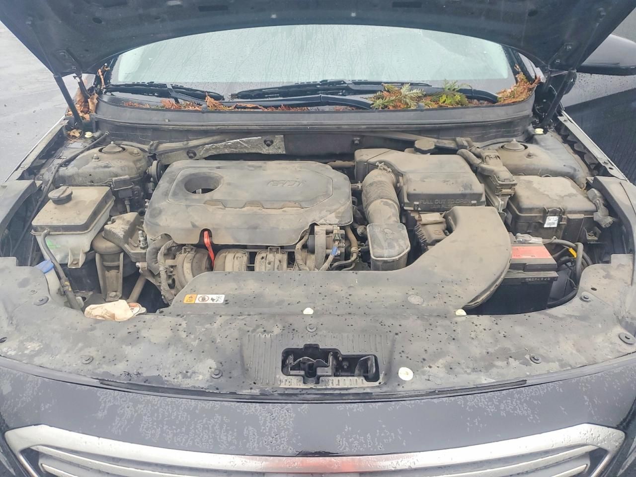 2017 Hyundai Sonata se