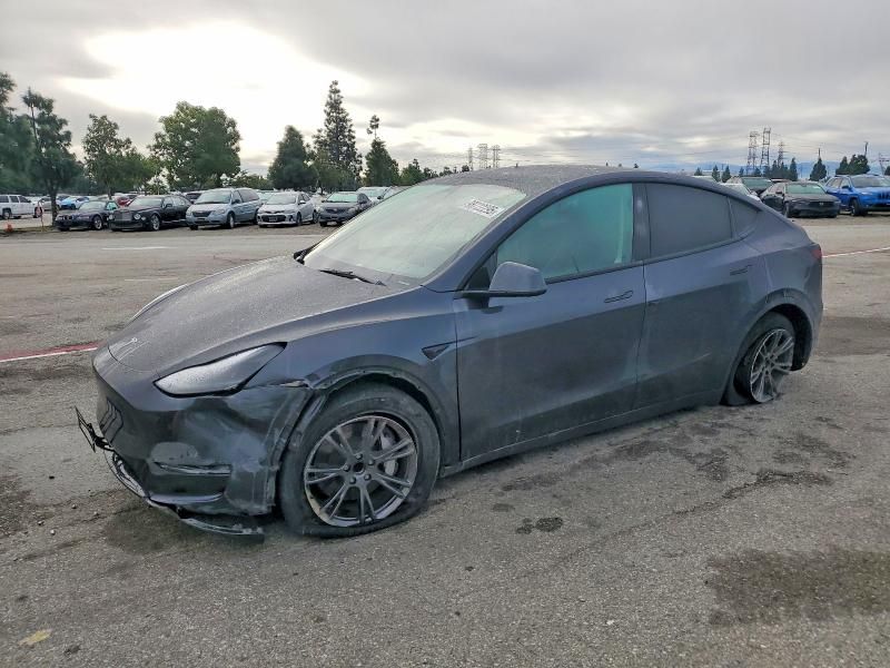 2025 Tesla Model y
