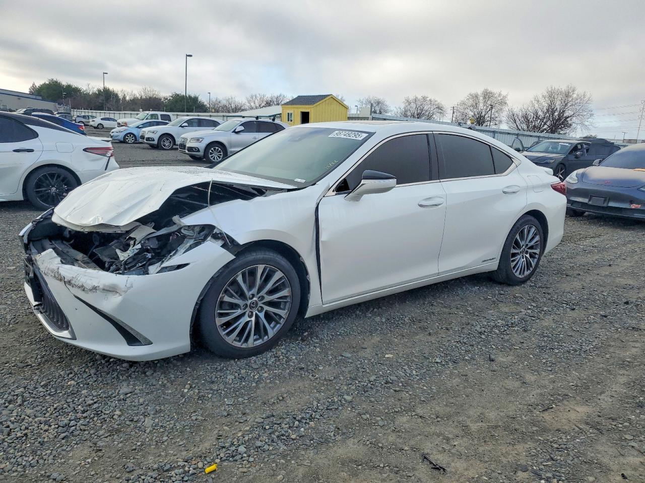 2019 Lexus Es 300h