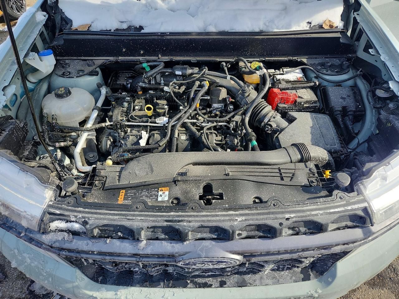 2024 Ford Maverick xlt