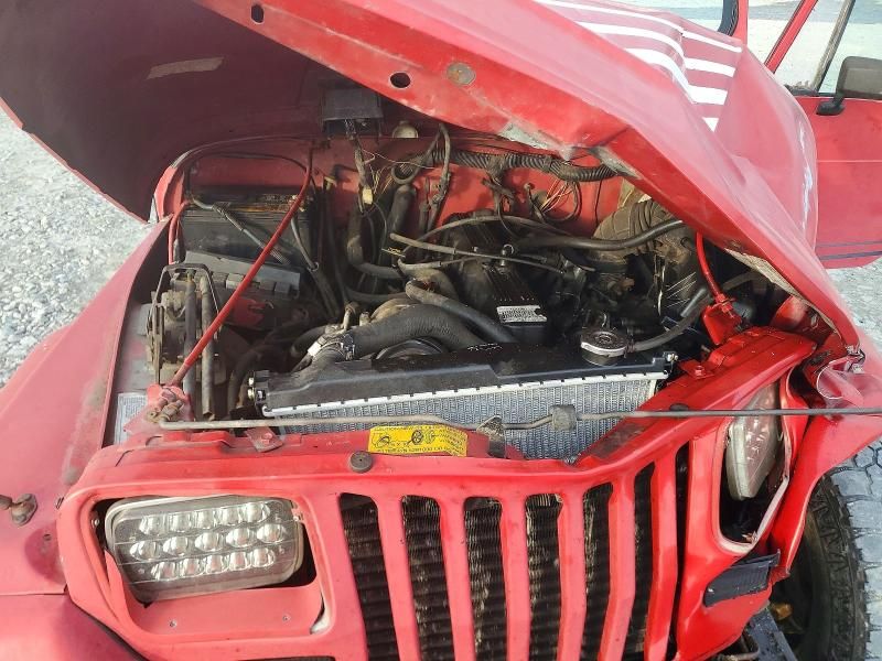 1992 Jeep Wrangler / yj Islander