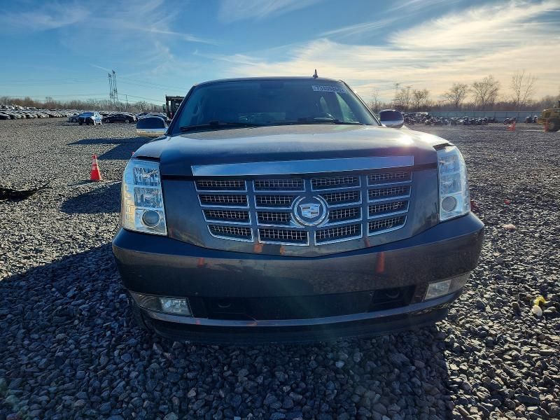 2010 Cadillac Escalade Premium