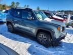 2017 Jeep Renegade Trailhawk